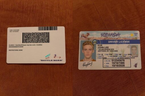 Nevada Fake ID